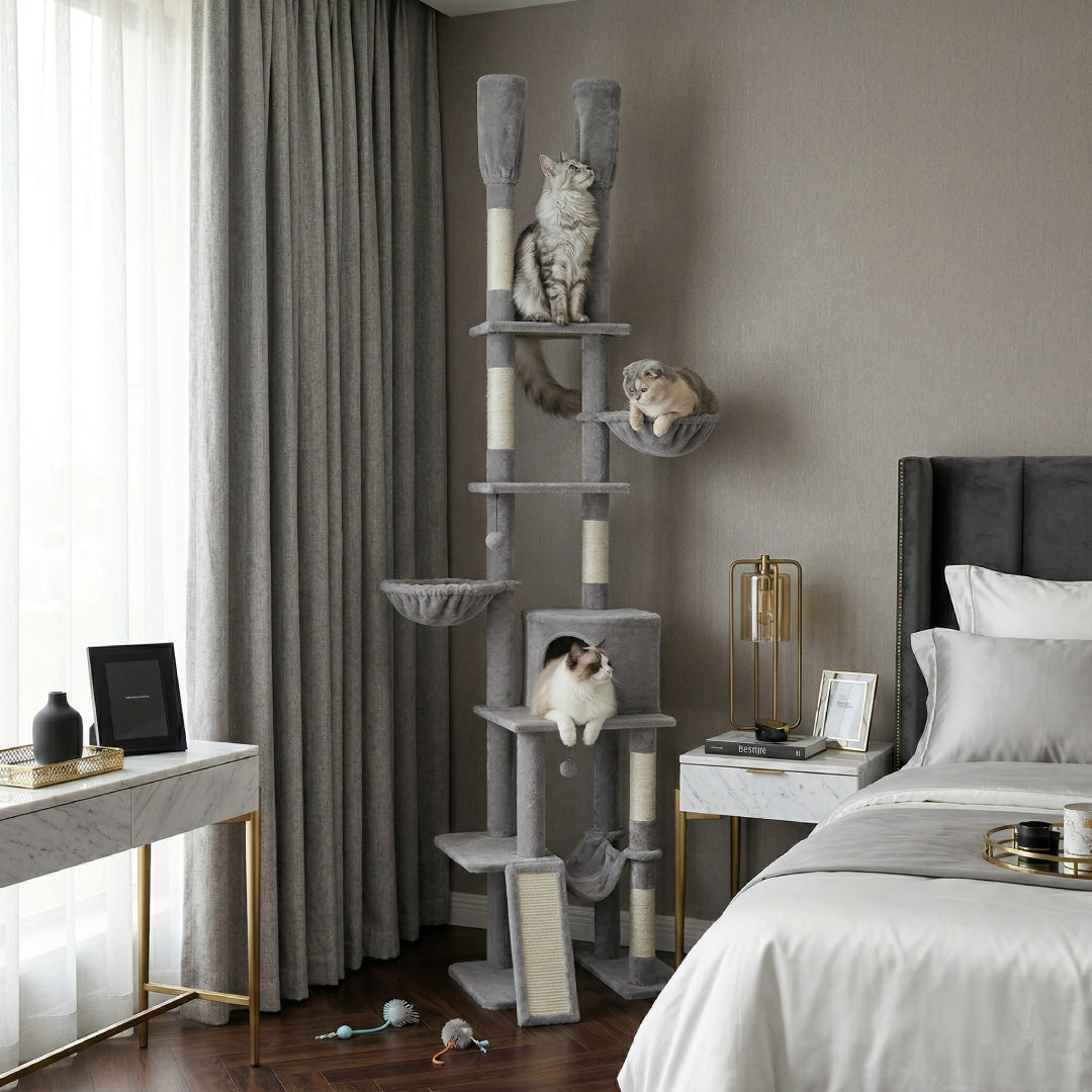 L'Ascension grise installée dans une chambre