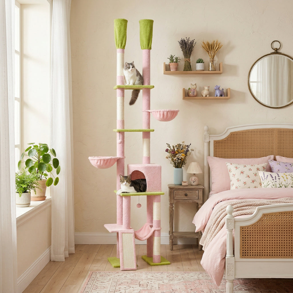 L'Ascension rose installée dans une chambre