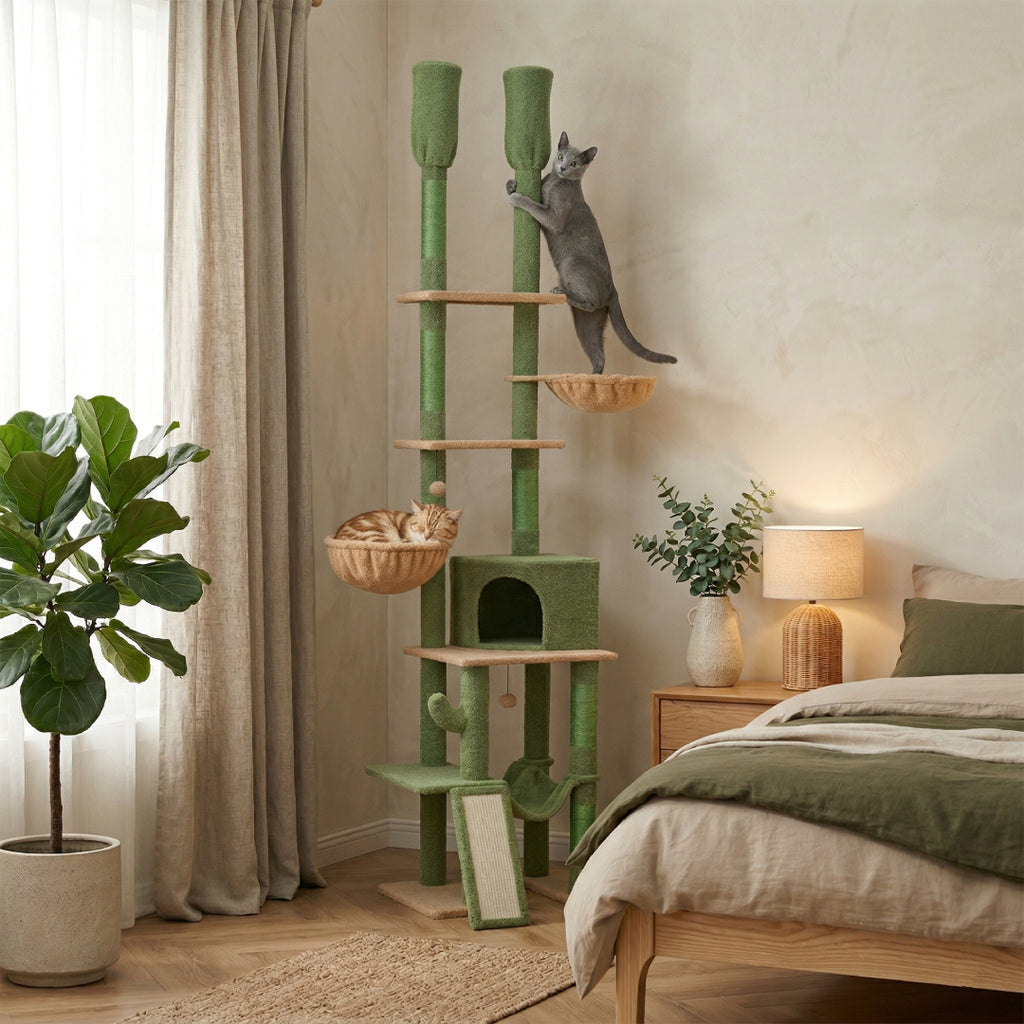 L'Ascension verte installée dans une chambre