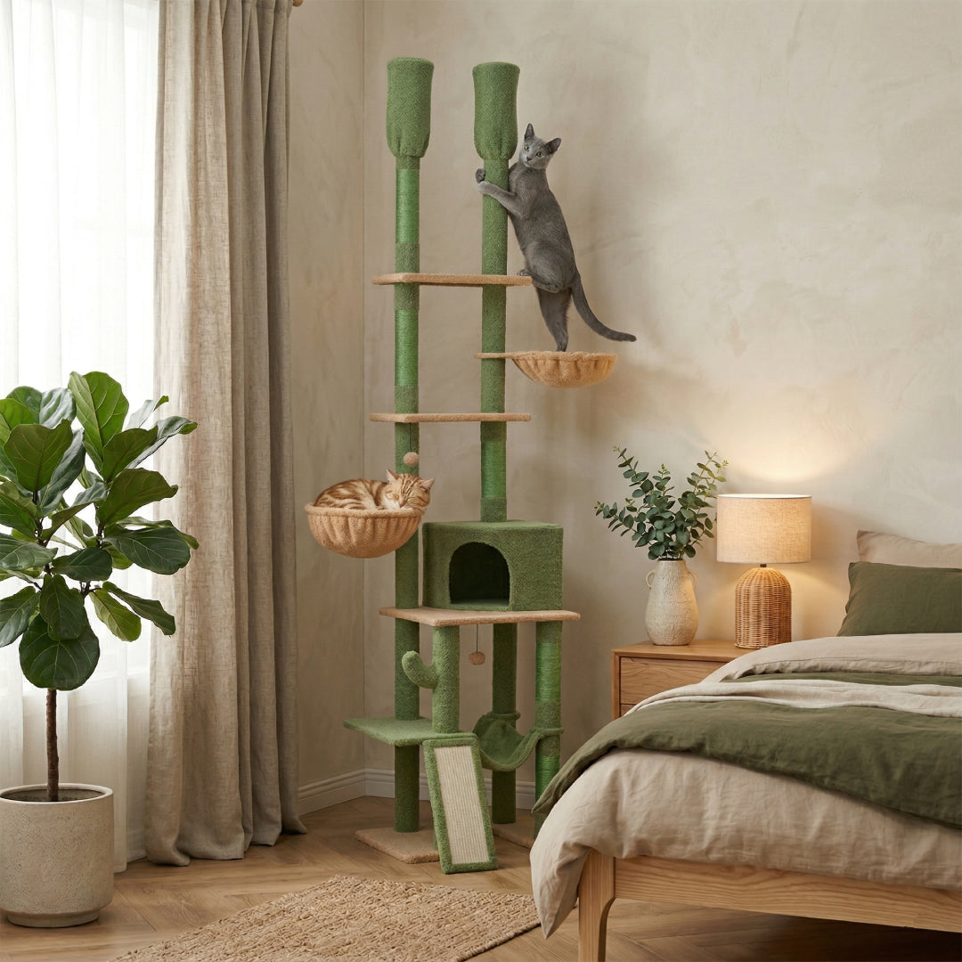 L'Ascension verte installée dans une chambre