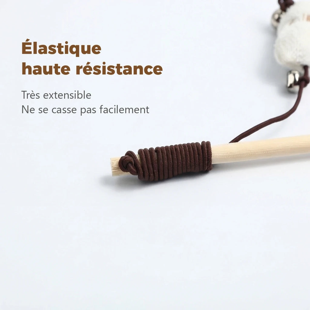 Élastique haute résistance noué au bout de la baguette pour chat