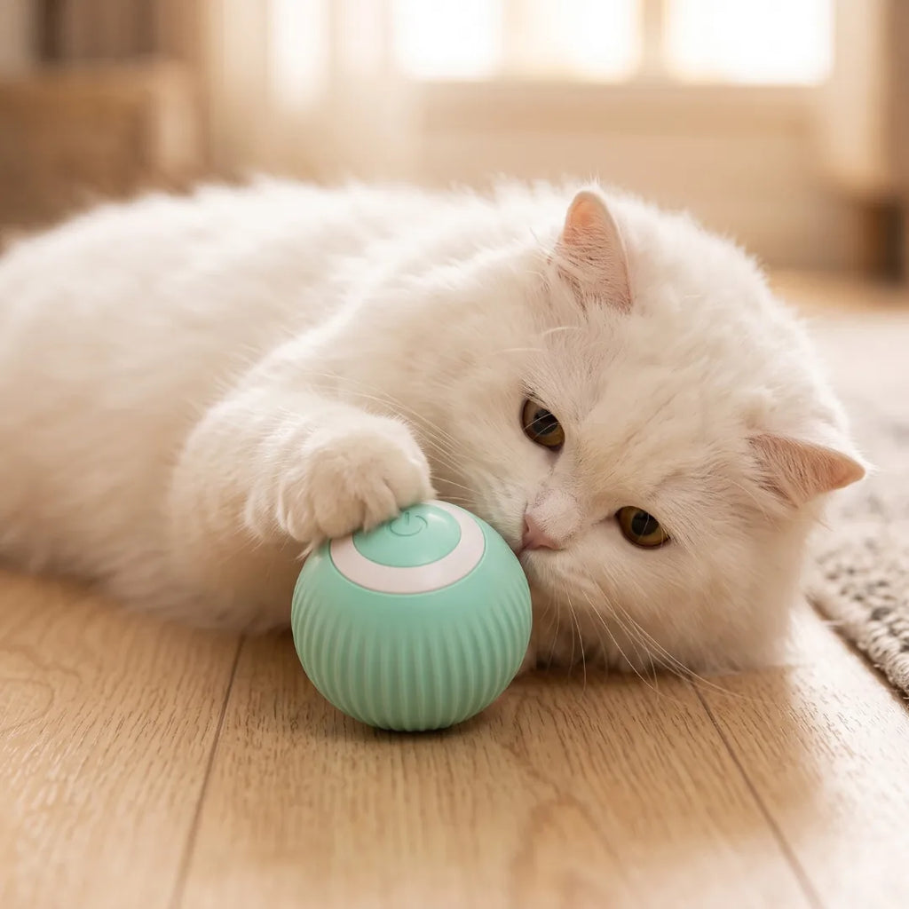 Balle Interactive Automatique pour Chat | Jouet Roulant Intelligent Rechargeable USB-C, Silencieux | L'Orbe