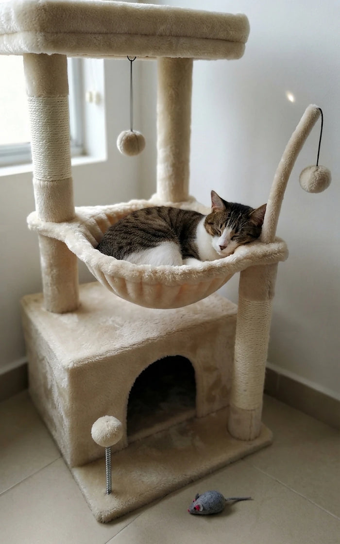 Sophie D.