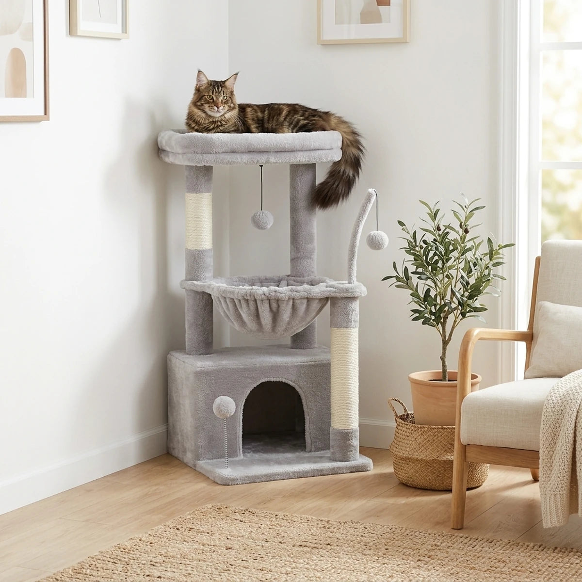 Arbre à chat Le Douillet gris dans l'angle d'un salon lumineux, Maine Coon tigré sur le perchoir