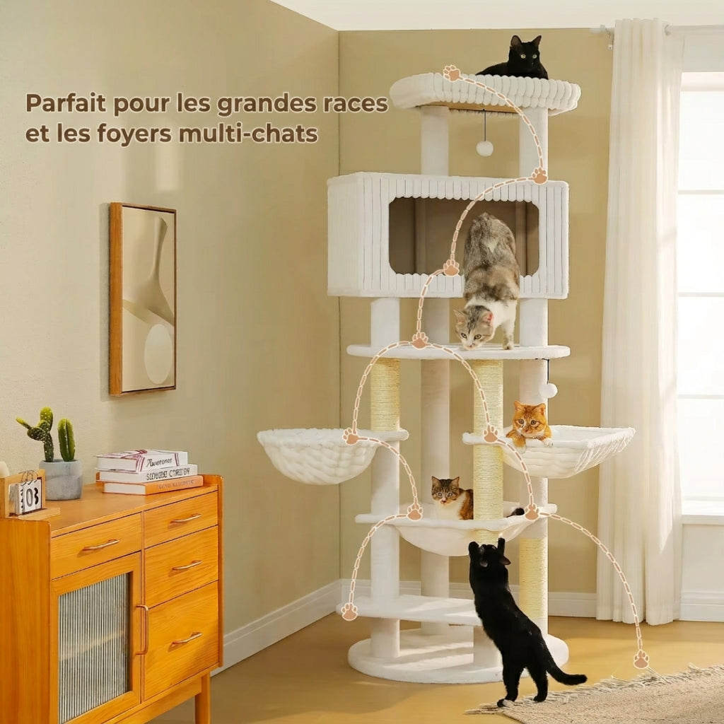 Le Majestueux crème, adapté aux grandes races et aux foyers multi-chats