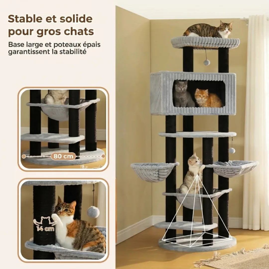 Base large et poteaux épais du Majestueux pour les gros chats