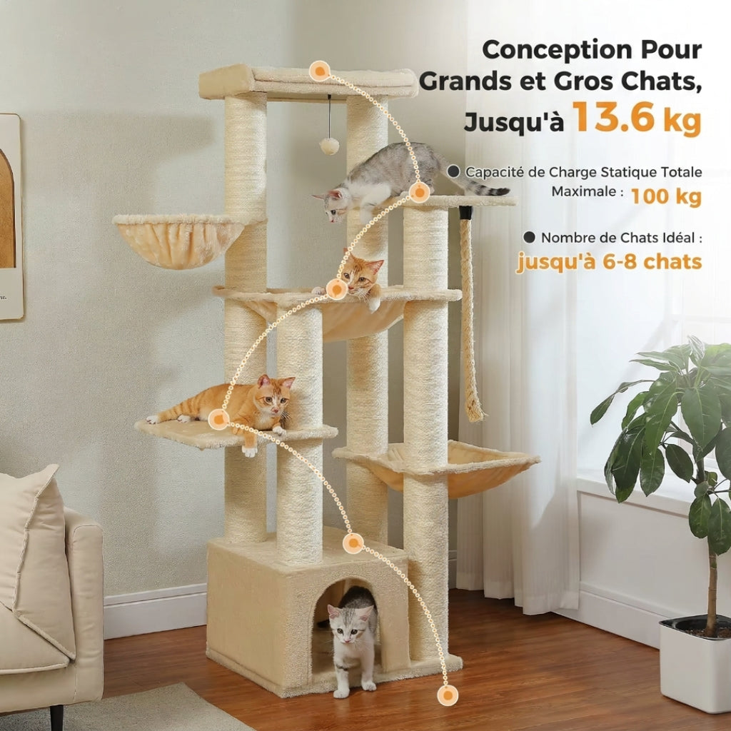 Le Seigneur beige conçu pour les grands et gros chats jusqu'à 13,6 kg