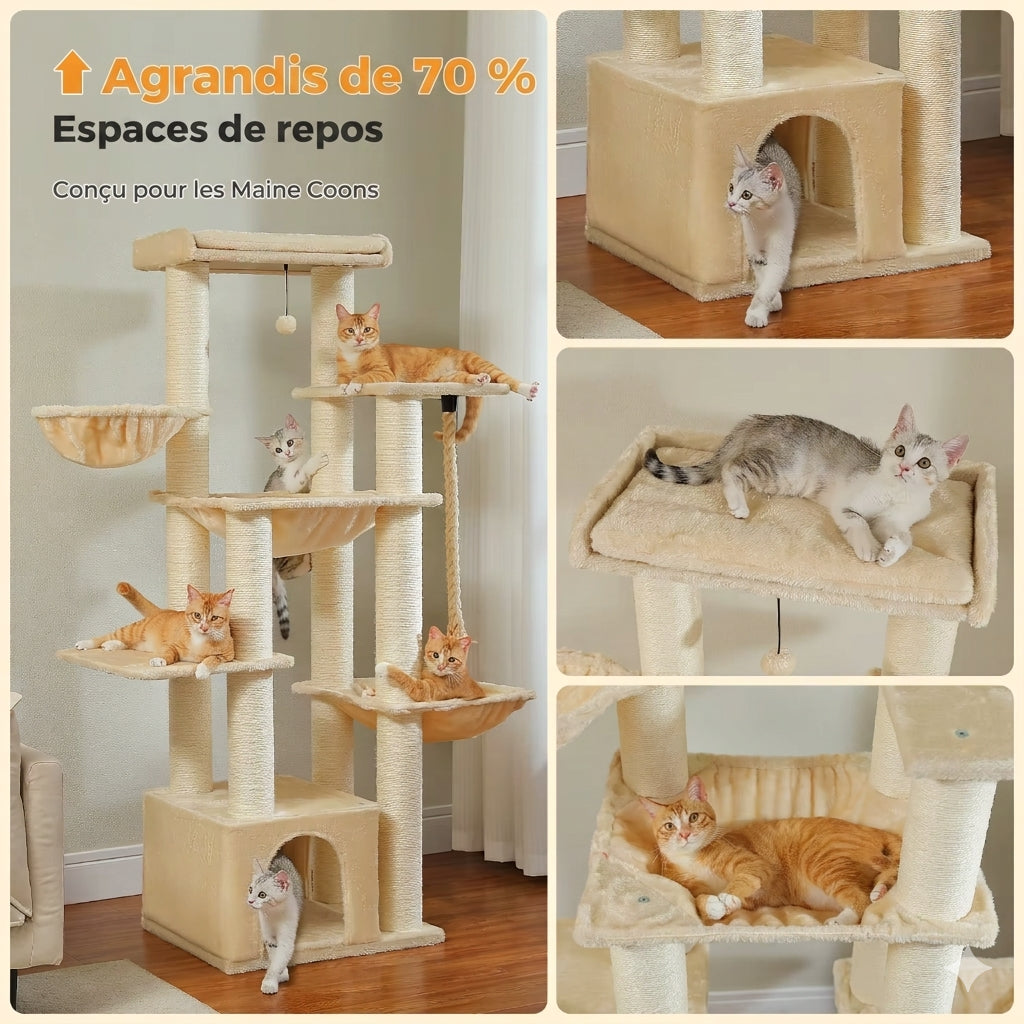 Les espaces de repos du Seigneur beige, agrandis de 70 pour cent