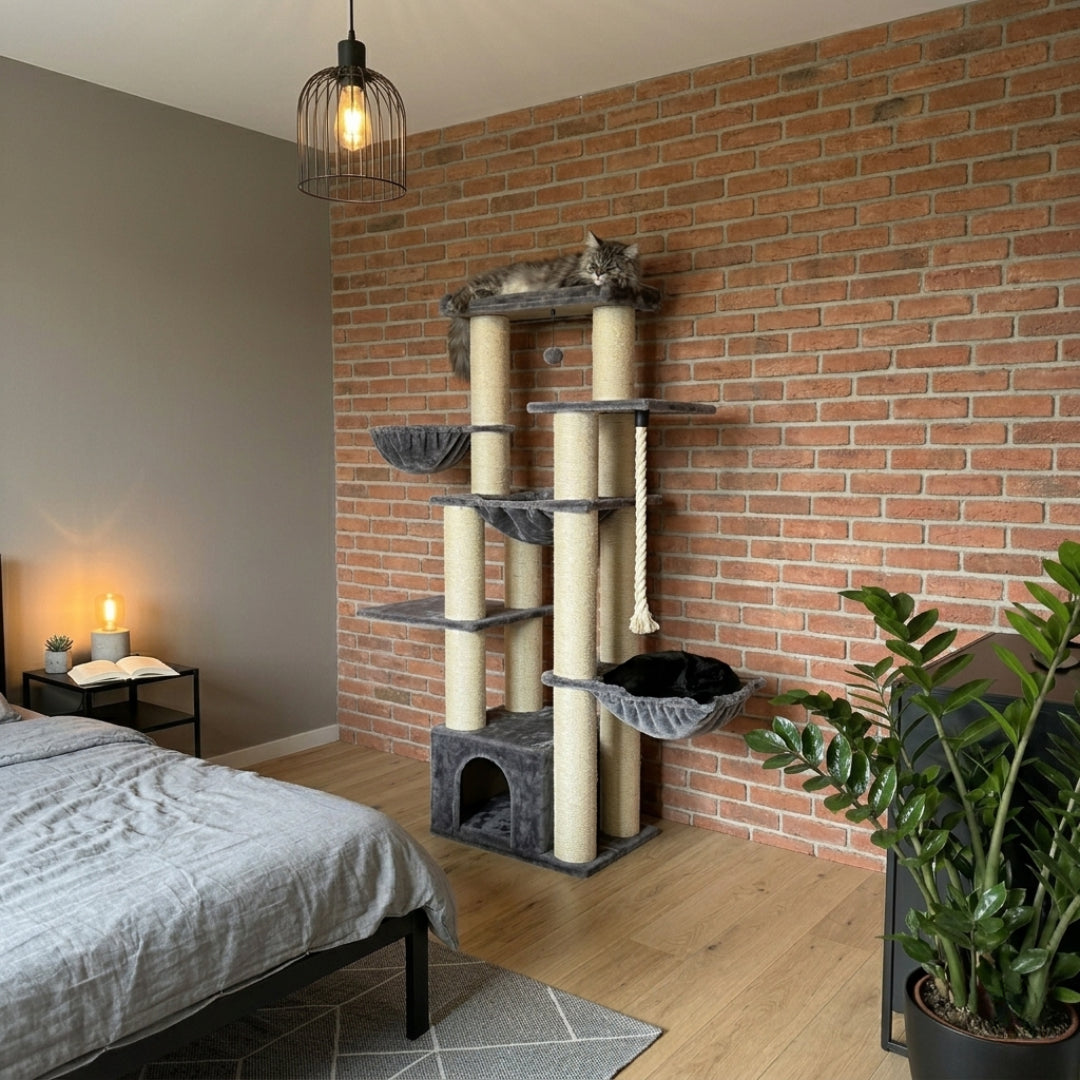 Le Seigneur anthracite installé dans une chambre