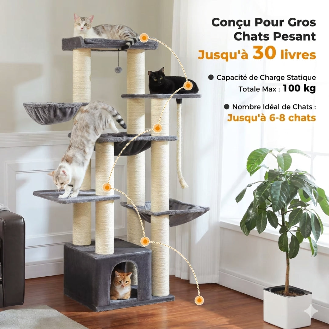Le Seigneur conçu pour les gros chats, charge statique totale jusqu'à 100 kg