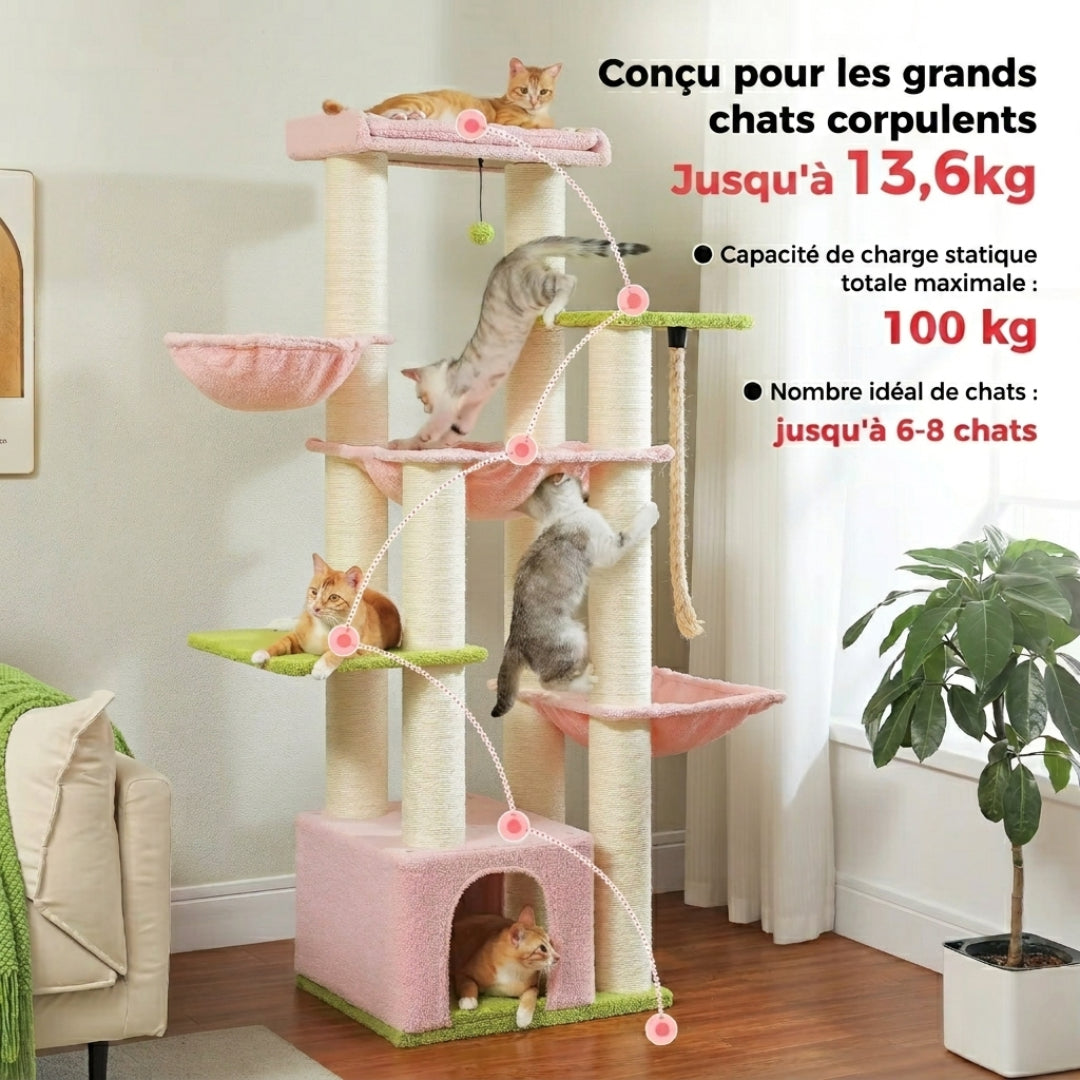 Le Seigneur rose conçu pour les grands chats corpulents jusqu'à 13,6 kg