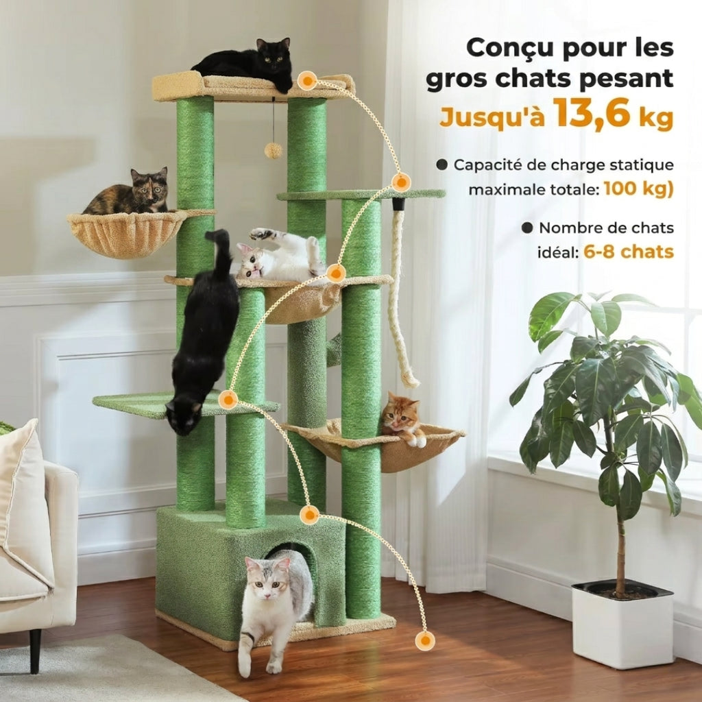 Le Seigneur vert conçu pour les gros chats pesant jusqu'à 13,6 kg