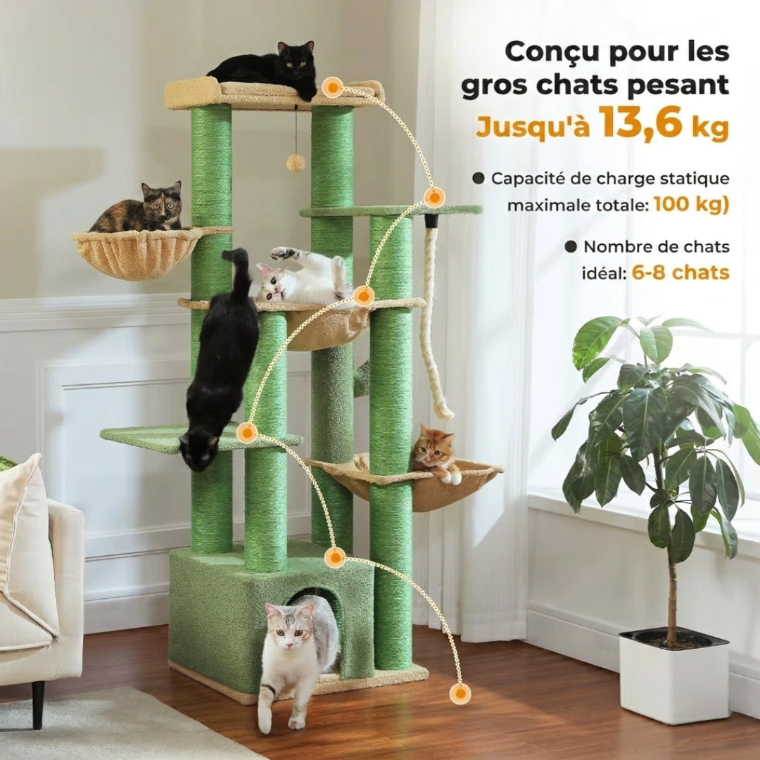 Le Seigneur vert conçu pour les gros chats pesant jusqu'à 13,6 kg