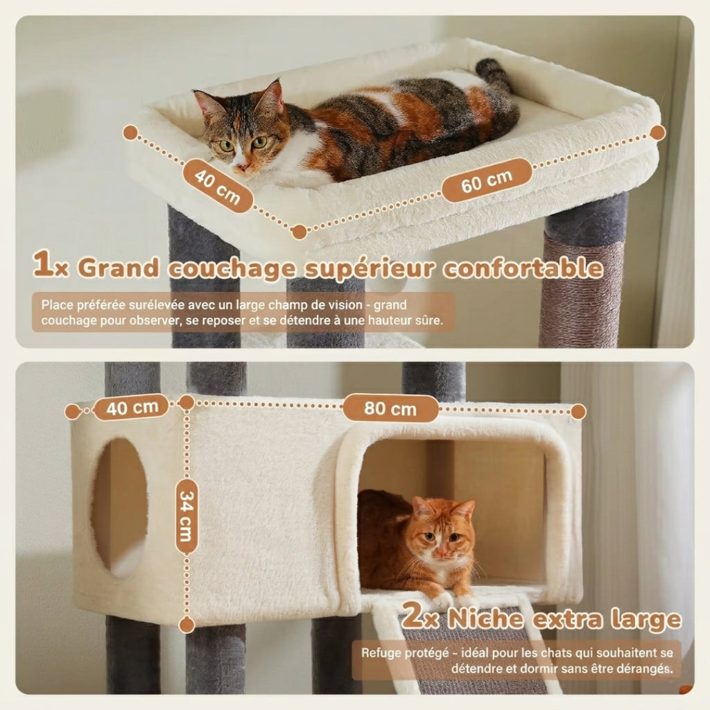 Grand couchage supérieur de 60 cm de L'Olympe, chat allongé