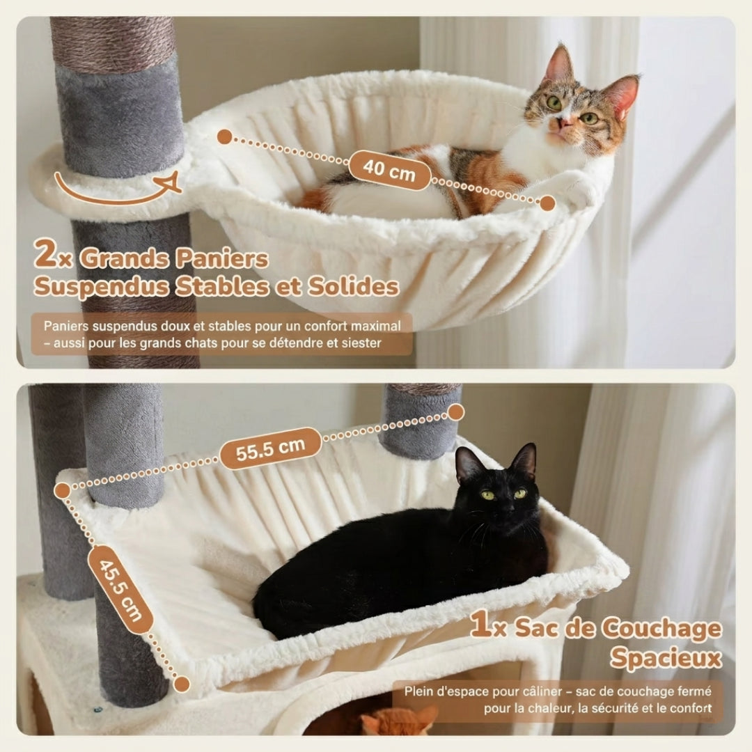 Niche extra large de 80 cm de L'Olympe avec un chat roux à l'intérieur