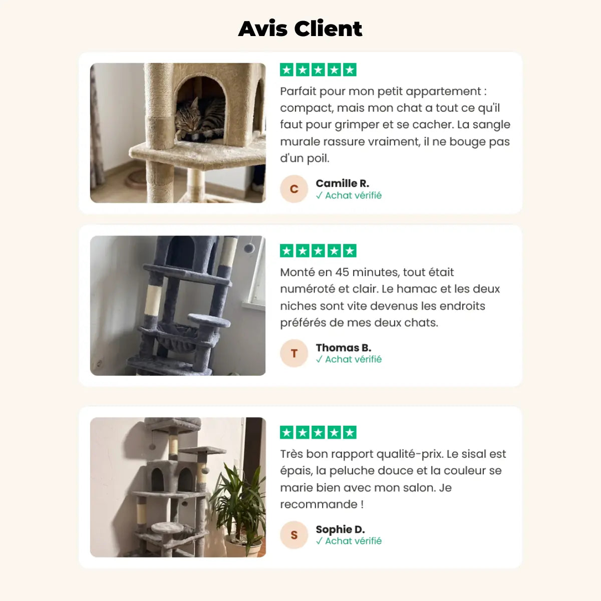 Avis clients sur l'arbre à chat L'Onyx