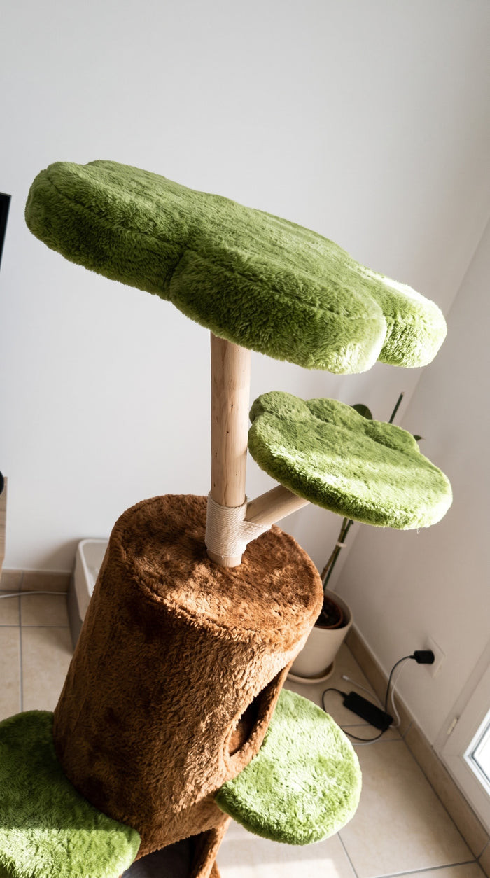 Sophie M.