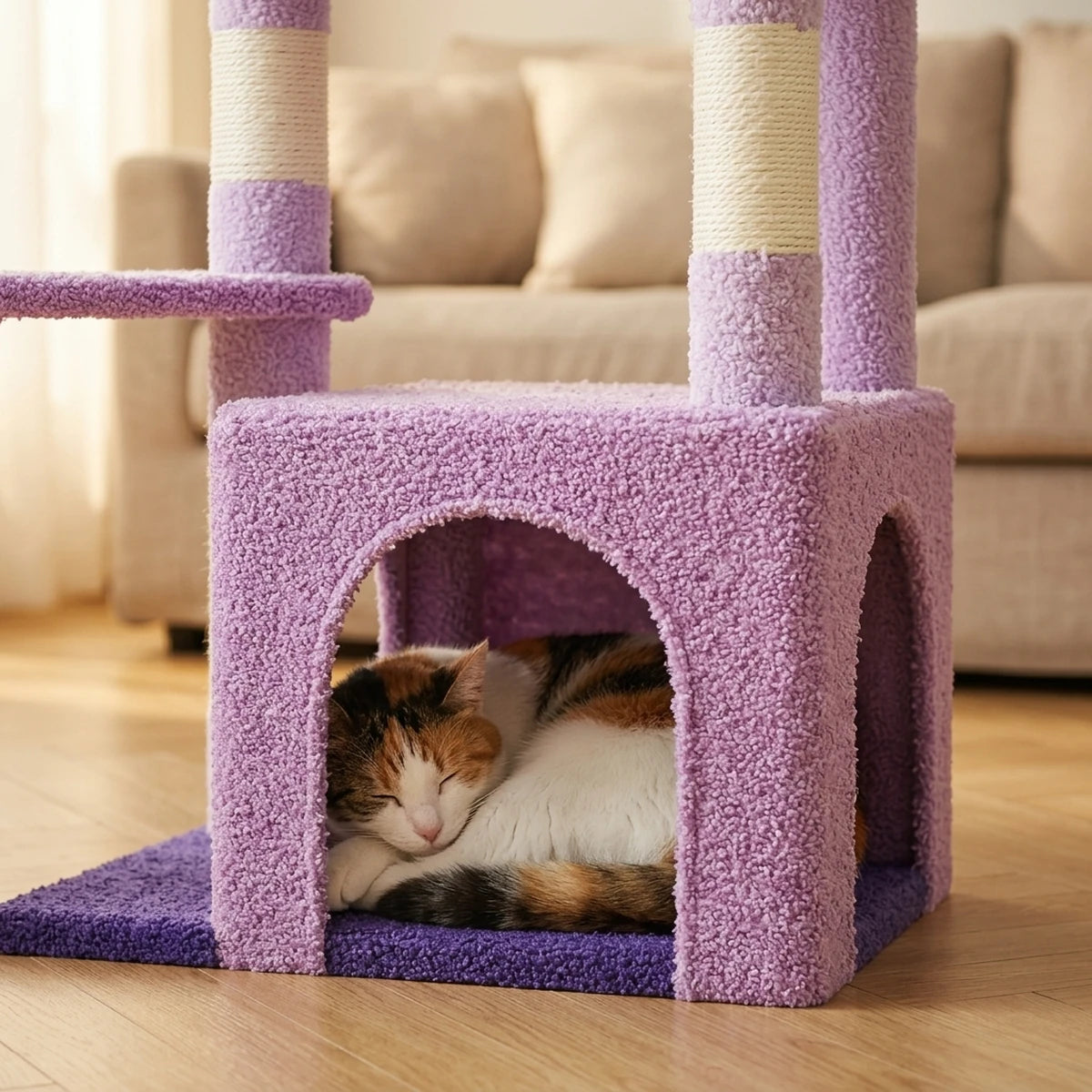 Chat calico endormi en boule dans la niche de l'arbre à chat Le Sultan violet